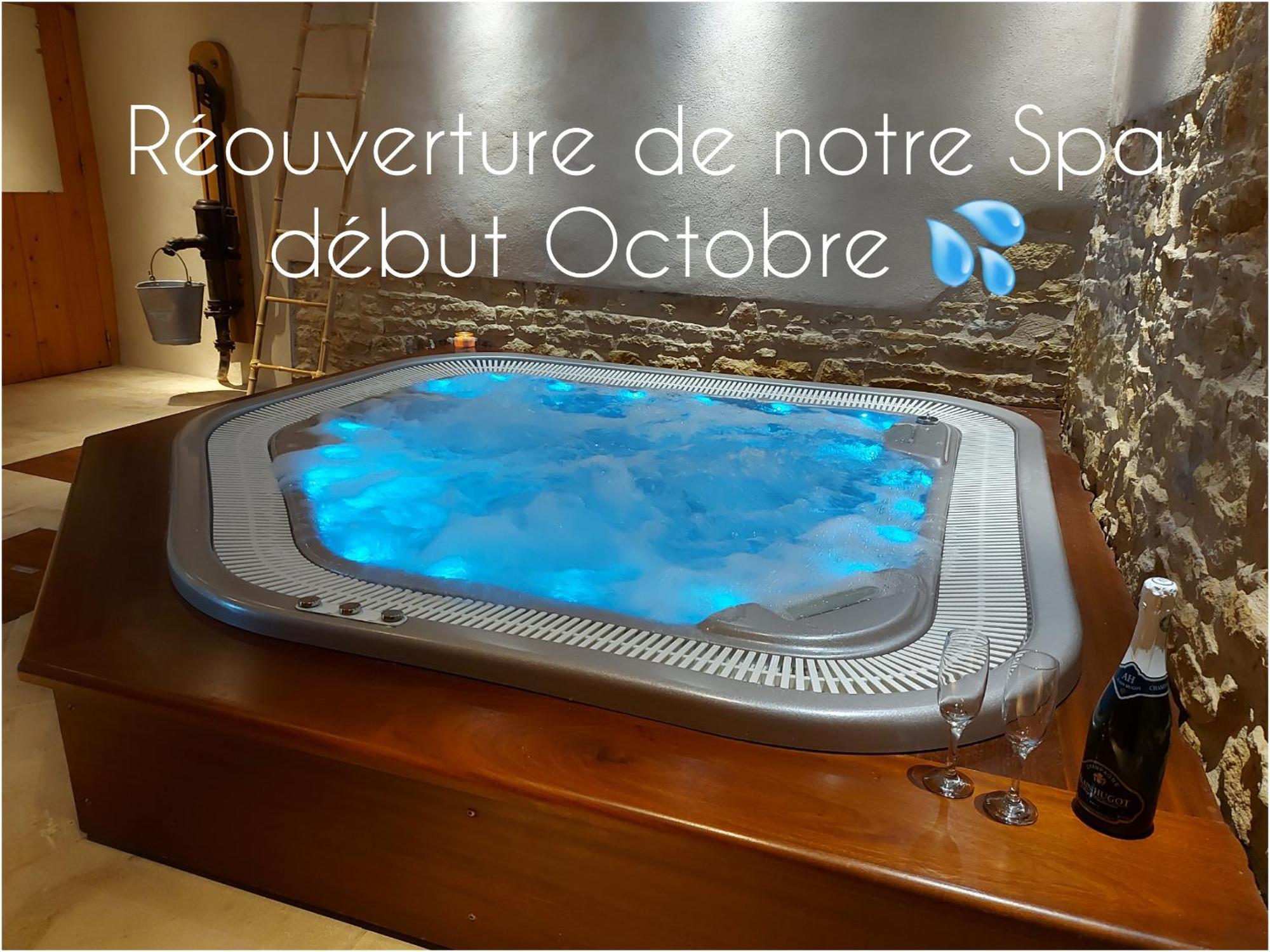 Gite Stone & Spa Chasselay Exterior foto